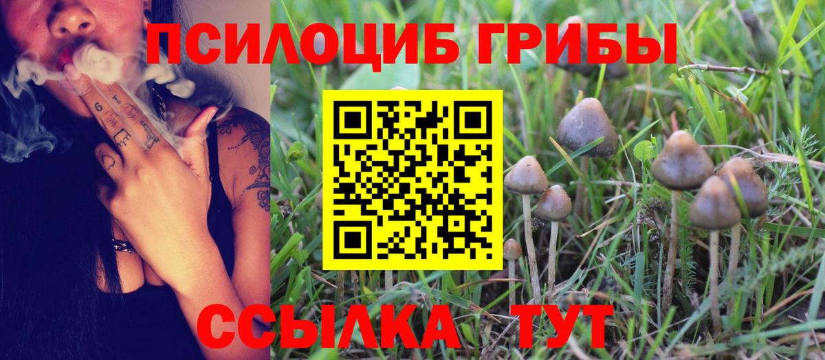 Псилоцибиновые грибы прущие грибы Артём