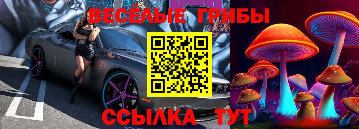 Артём  Псилоцибиновые грибы мухоморы  Вход с VPN 